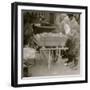 Selling Oranges-Lewis Wickes Hine-Framed Photo