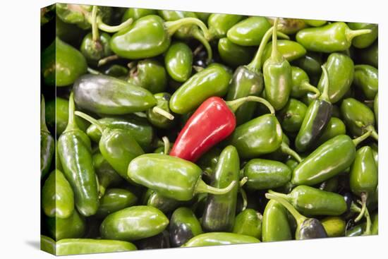 Selling peppers at the market, Kathmandu, Nepal-Keren Su-Stretched Canvas