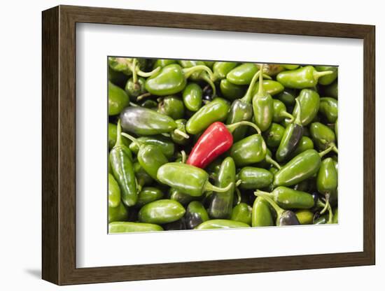 Selling peppers at the market, Kathmandu, Nepal-Keren Su-Framed Photographic Print