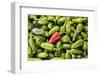 Selling peppers at the market, Kathmandu, Nepal-Keren Su-Framed Photographic Print