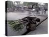 Selling Sugar Cane, Vietnam-Keren Su-Stretched Canvas