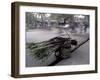 Selling Sugar Cane, Vietnam-Keren Su-Framed Photographic Print