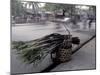 Selling Sugar Cane, Vietnam-Keren Su-Mounted Photographic Print