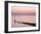 Selsey Bill at Sunset, Selsey, West Sussex, England, United Kingdom, Europe-Jean Brooks-Framed Photographic Print