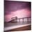 Selsey Lifeboat Station-Nina Papiorek-Mounted Photographic Print