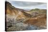 Seltun, Krysuvik Geothermal Area, Reykjanes Peninsula, Iceland, Polar Regions-Michael-Stretched Canvas