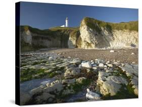 Selwick Bay, Flamborough, East Yorkshire, England, United Kingdom, Europe-Wogan David-Stretched Canvas