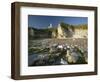 Selwick Bay, Flamborough, East Yorkshire, England, United Kingdom, Europe-Wogan David-Framed Photographic Print