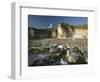 Selwick Bay, Flamborough, East Yorkshire, England, United Kingdom, Europe-Wogan David-Framed Photographic Print