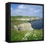 Selwicks Bay, Flamborough Head, Coast of Humberside, England, UK, Europe-Roy Rainford-Framed Stretched Canvas