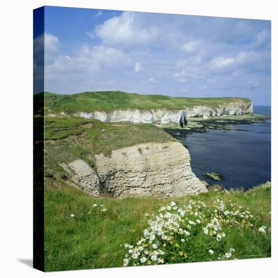 Selwicks Bay, Flamborough Head, Coast of Humberside, England, UK, Europe-Roy Rainford-Stretched Canvas