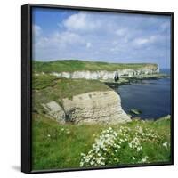 Selwicks Bay, Flamborough Head, Coast of Humberside, England, UK, Europe-Roy Rainford-Framed Photographic Print