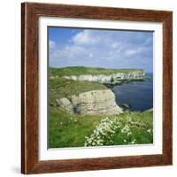 Selwicks Bay, Flamborough Head, Coast of Humberside, England, UK, Europe-Roy Rainford-Framed Photographic Print