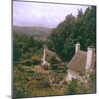 Selworthy Thatches-null-Mounted Photographic Print