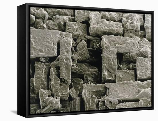 SEM of Maldon Sea Salt-Dr. Jeremy Burgess-Framed Stretched Canvas