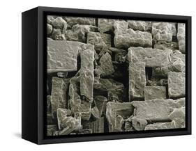 SEM of Maldon Sea Salt-Dr. Jeremy Burgess-Framed Stretched Canvas