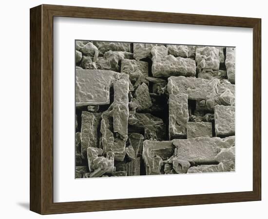 SEM of Maldon Sea Salt-Dr. Jeremy Burgess-Framed Photographic Print