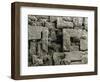 SEM of Maldon Sea Salt-Dr. Jeremy Burgess-Framed Photographic Print