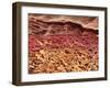 SEM of Section Through Human Skin-Steve Gschmeissner-Framed Photographic Print