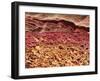 SEM of Section Through Human Skin-Steve Gschmeissner-Framed Photographic Print