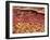 SEM of Section Through Human Skin-Steve Gschmeissner-Framed Photographic Print