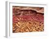 SEM of Section Through Human Skin-Steve Gschmeissner-Framed Photographic Print