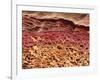 SEM of Section Through Human Skin-Steve Gschmeissner-Framed Photographic Print