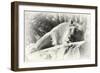 _SEM9118_4374-Gordon Semmens-Framed Giclee Print