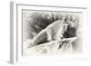 _SEM9118_4374-Gordon Semmens-Framed Giclee Print