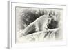 _SEM9118_4374-Gordon Semmens-Framed Giclee Print