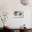 _SEM9118_4374-Gordon Semmens-Mounted Giclee Print displayed on a wall