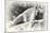 _SEM9118_4374-Gordon Semmens-Mounted Giclee Print