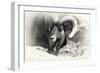 _SEM9161_4417-Gordon Semmens-Framed Giclee Print