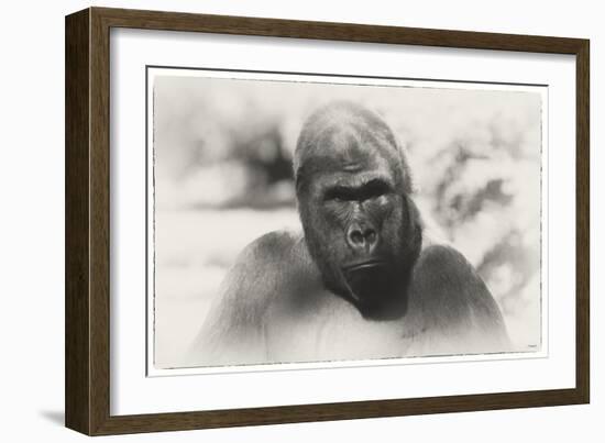 _SEM9180_4436-Gordon Semmens-Framed Giclee Print