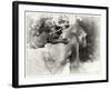 _SEM9218_4474-Gordon Semmens-Framed Giclee Print