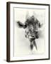 _SEM9305_4561-Gordon Semmens-Framed Giclee Print