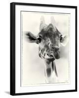 _SEM9305_4561-Gordon Semmens-Framed Giclee Print