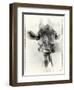 _SEM9305_4561-Gordon Semmens-Framed Giclee Print