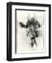 _SEM9305_4561-Gordon Semmens-Framed Giclee Print