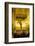 Semana Santa (Holy Week) Float (Pasos) with Image of Virgin Mary Outside Seville Cathedral-Stuart Black-Framed Photographic Print