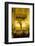 Semana Santa (Holy Week) Float (Pasos) with Image of Virgin Mary Outside Seville Cathedral-Stuart Black-Framed Photographic Print