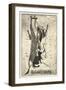 Semana Santa-Thomas MacGregor-Framed Giclee Print