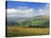 Semer Water, Yorkshire Dales National Park, Yorkshire, England, United Kingdom, Europe-Patrick Dieudonne-Stretched Canvas