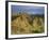 Semi Desert with Badlands, Border Area to Azerbaidjan, Vashlovani National Park, Georgia, May 2008-Popp-Framed Photographic Print