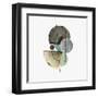 Semi I-PI Studio-Framed Art Print