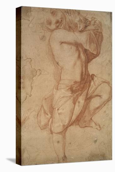 Semi-Nude Boy (Chalk on Paper)-Annibale Carracci-Stretched Canvas