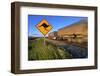 Semi Truck Speeding-null-Framed Photographic Print