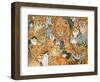 Semi Wild Cat Spread-Ditz-Framed Giclee Print