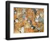 Semi Wild Cat Spread-Ditz-Framed Giclee Print