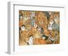 Semi Wild Cat Spread-Ditz-Framed Giclee Print